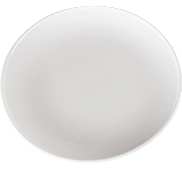 28cm Dinner Plate (280x280x30mm)