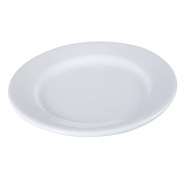25.5cm Dinner Plate (255x255x25mm)